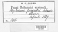 Image Associated With the Occurence